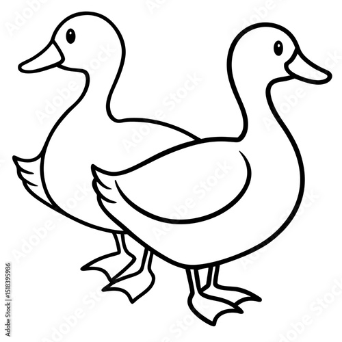 duck and ducklings