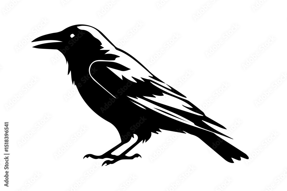 Fototapeta premium Raven black silhouette isolated on white or transparent background background, vector illustration.