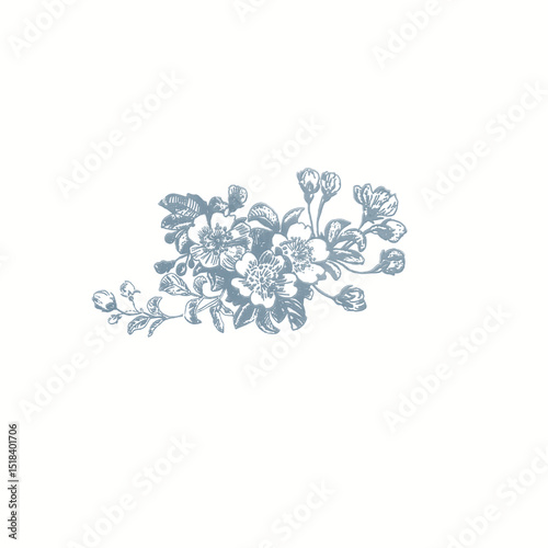 Blooming apple flowers in blue. Illustration