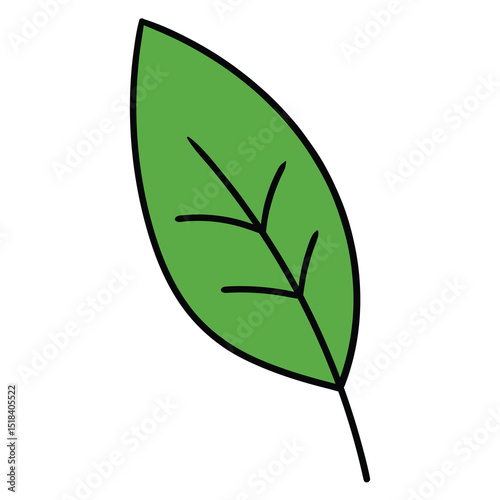 Hand drawn cartoon leaf on white background.