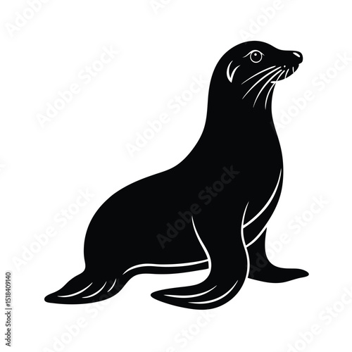 black sea lion vector illustration