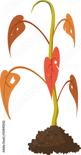 vector dying plant in soil isolated on white background. a plant wilting and becoming dead. symbol of dry dying flower