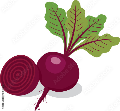 vector whole red beet root with leaves and half of beet symbols isolated on white background. icon of beetroot vegetable for healthy vegetarian food illustrations