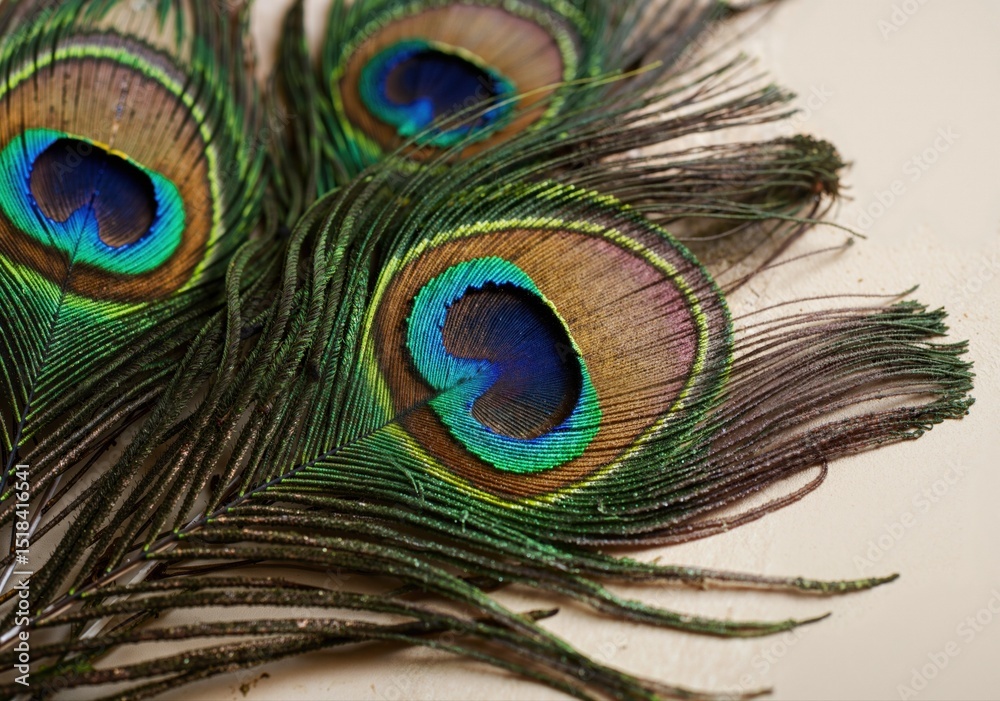 Obraz premium vibrant peacock feathers showcasing stunning colors and intricate patterns, ideal for artistic backgrounds and nature-themed designs