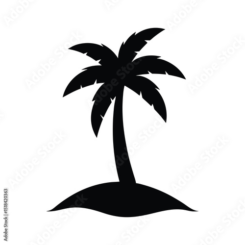 silhouette of palm tree