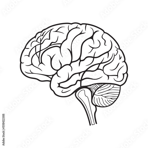 Human brain silhouette vector icon illustration isolated on white background