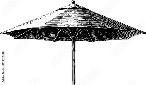 Vintage engraved beach umbrella illustration for summer design and decor projects