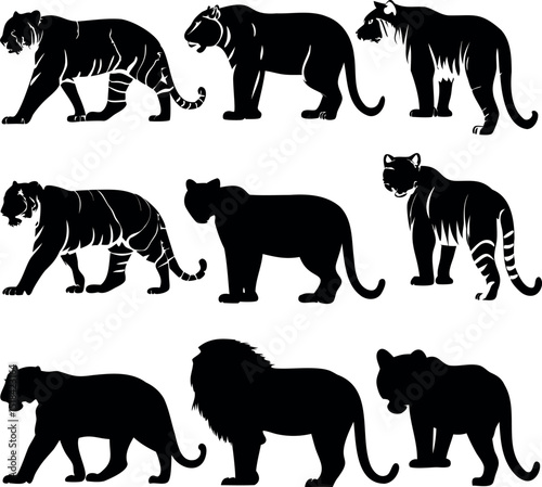 Silhouette Assortment of Big Cats Featuring Tigers, Panthers and a Lion