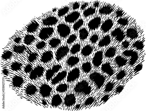 Intricate engraved illustration of leopard spot pattern for design and decoration