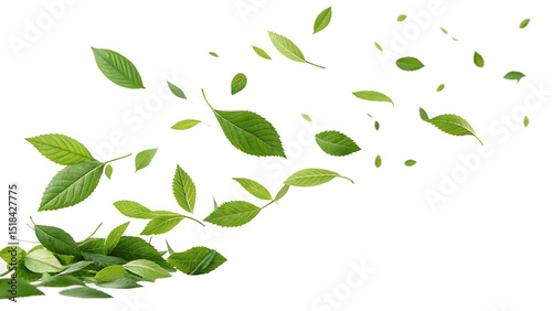 green leaves fly with a gust of wind on white background PNG. AI GENERATED