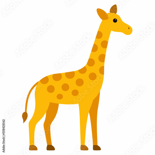 giraffe isolated on white background
