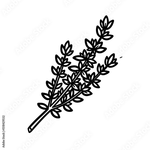 Black outline drawing of a rosemary or thyme sprig, representing herbs and cooking