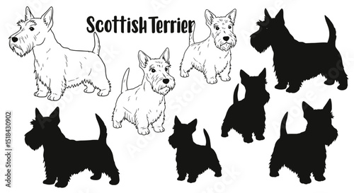 Line art and silhouette illustrations of Scottish Terrier dogs in various poses