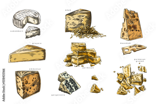 Vector watercolor set of cheese types pieces with name.