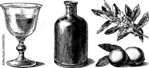 Engraved illustration of aperitif bottle with glass, citrus, and leaves design