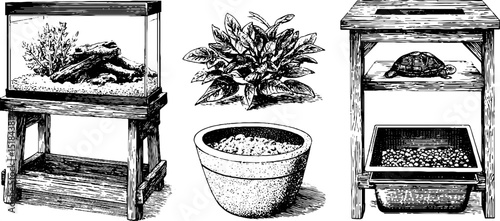Engraved illustration set featuring aquarium stand, plants, and tortoise habitat for nature enthusiasts