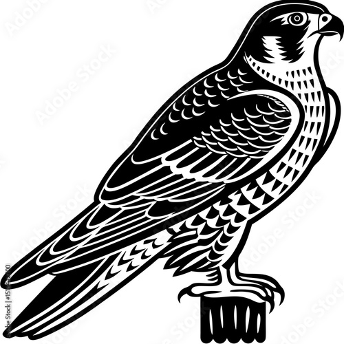 Sharp falcon corporate blue palette vector illustration