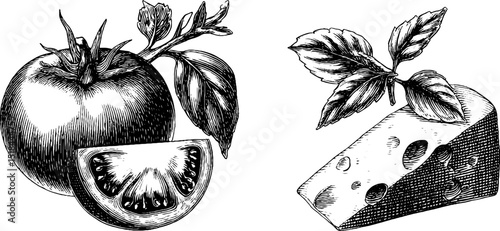 Engraved illustration of caprese salad ingredients with tomato, mozzarella, and basil leaves