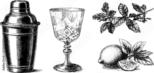 Engraved illustration of cocktail shaker and glass with mint and citrus. Vintage barware design with detailed black and white botanical art.