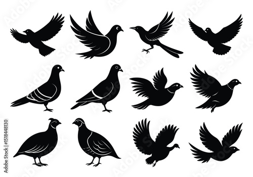 vector Silhouettes of Flying and Standing Birds Including Pigeons and Doves on white background