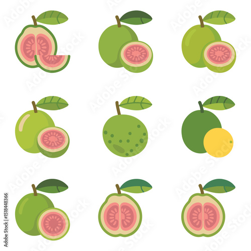 set of guava fruits 