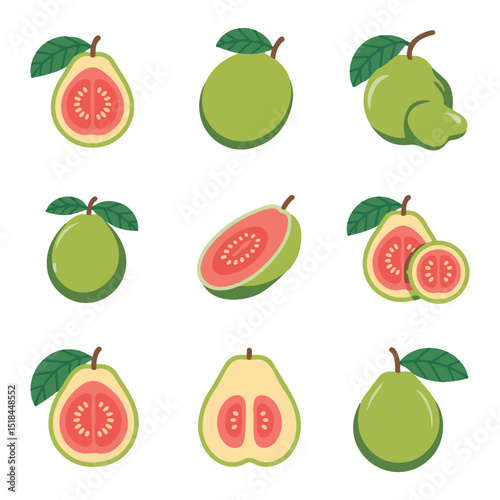 set of vector guava