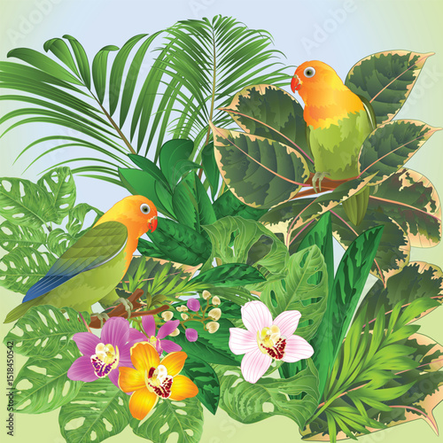 Birds agapornis parrots tropical bird with tropical plants watercolor vintage vector editable hand draw