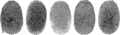 Engraved fingerprint pattern collection for security and design projects
