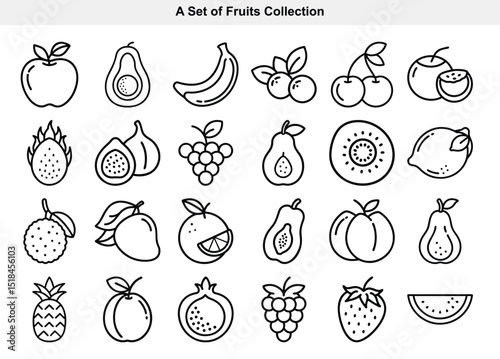 Line Art Illustration of Various Fruits Apple, Banana, Berries, Dragon Fruit and More