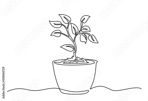 Single Line flower in a pot. One Line Hand Drawn Illustration. Beautiful flower Isolated on a white background. Editable stroke.	