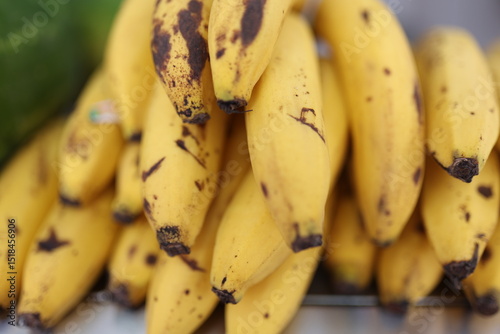 close up of bunch of bananas