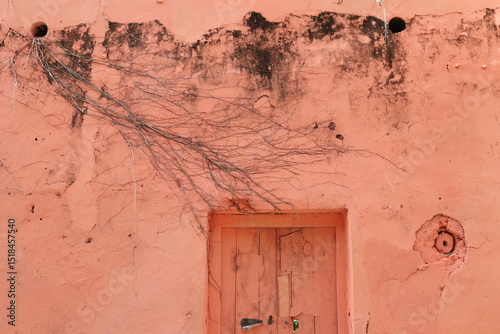 wooden door on a Mexican Caribbean town
