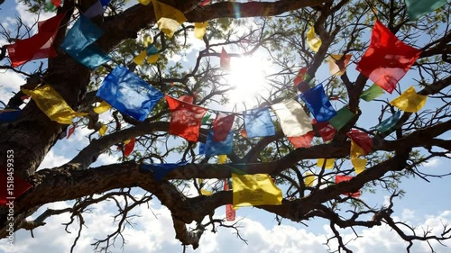 Colorful prayer flags hanging on a tree against sunlight with a beautiful blue sky backdrop