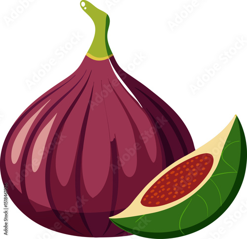 Fig vector ,white background 