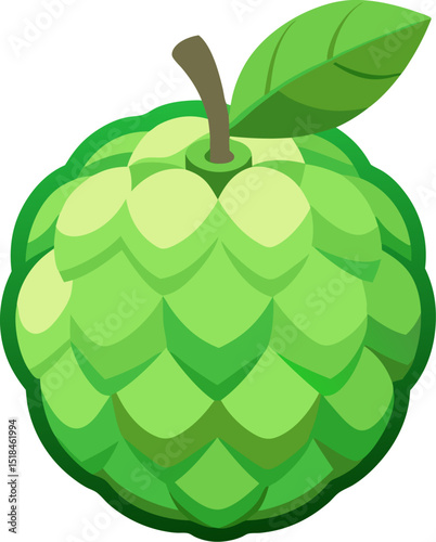 Custard apple vector ,white background 