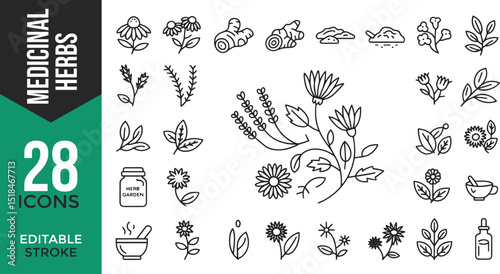 "Medicinal Herbs Line Icon Set – Thin Linear Vector Pictograms of Healing Plants"

