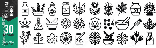 "Medicinal Herbs Line Icon Set – Thin Linear Vector Pictograms of Healing Plants"

