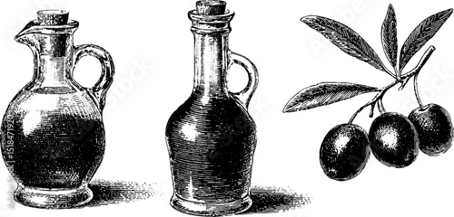 Engraved olive oil bottles and olive branch illustration set for print design
