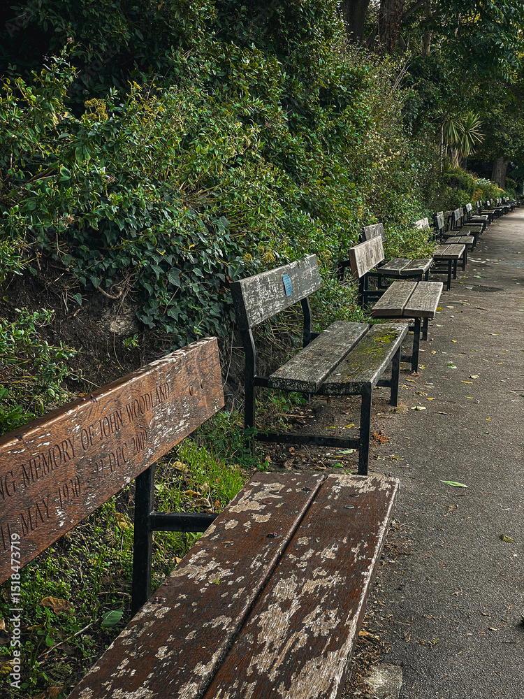 Fototapeta premium Bench in the park
