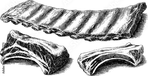 Engraved pork ribs illustration set for culinary design and print projects