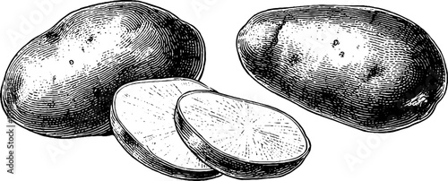 Vintage botanical illustration of whole and sliced potatoes for culinary and educational uses