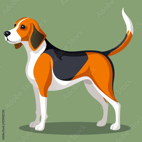 Hunting Dog Beagle Breed – Vector Illustration on White Background

