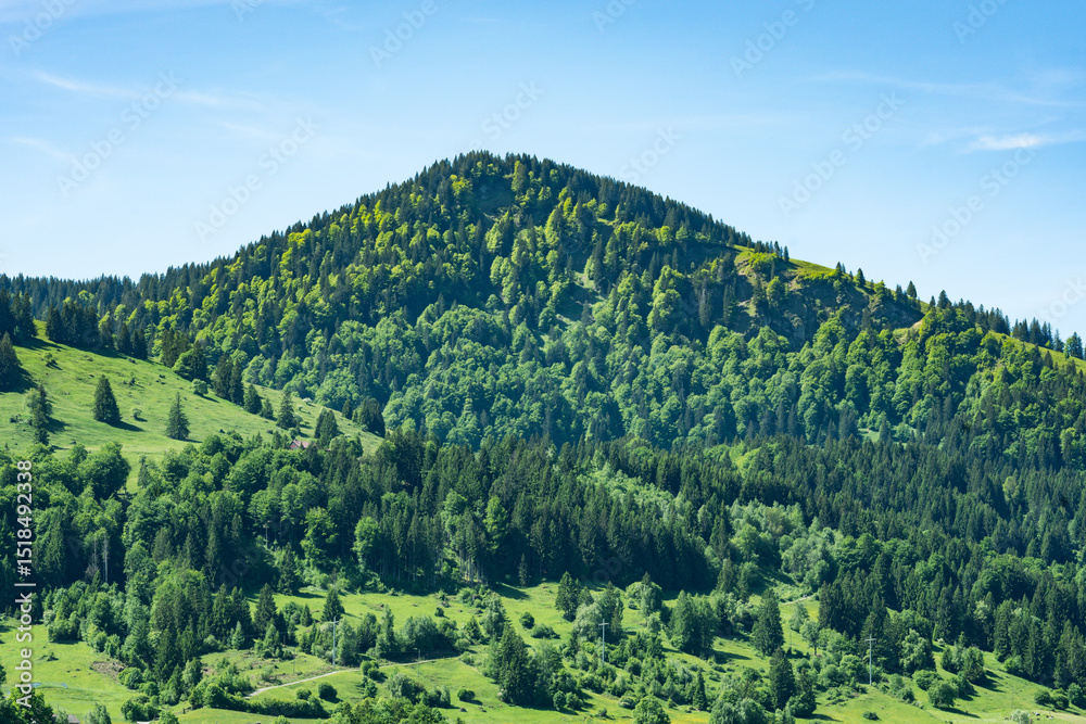 Obraz premium Mountains in bavaria at the lake Grosser Alpsee