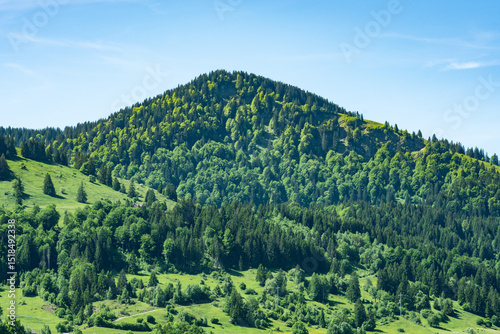 Mountains in bavaria at the lake Grosser Alpsee