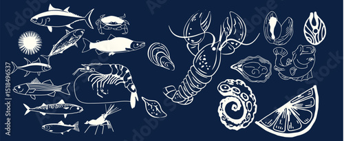 Incredible Hand Drawn Seafood Vectors