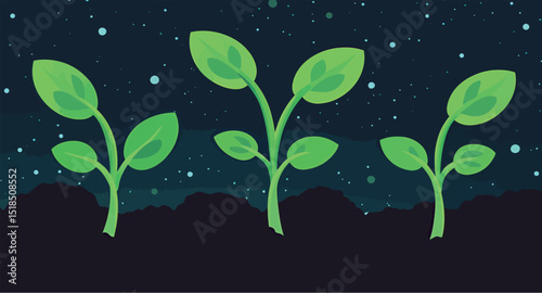 Three vibrant green seedlings emerging from dark soil under a starry night sky.