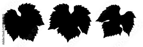 Three leaves black silhouettes close up view isolated on white background
