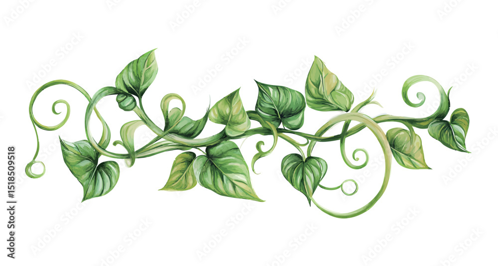 Vibrant green vine illustration with intricate leaf details on a clean background. Vibrant green vine illustration with intricate leaf details on a clean background.