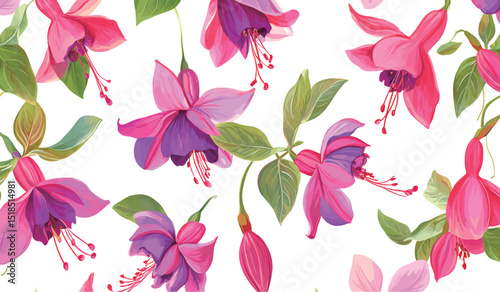 Vibrant fuchsia flowers in various shades of pink and purple on a white background.