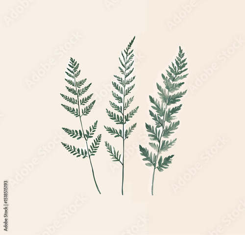 Three delicate green ferns against a soft, neutral background.